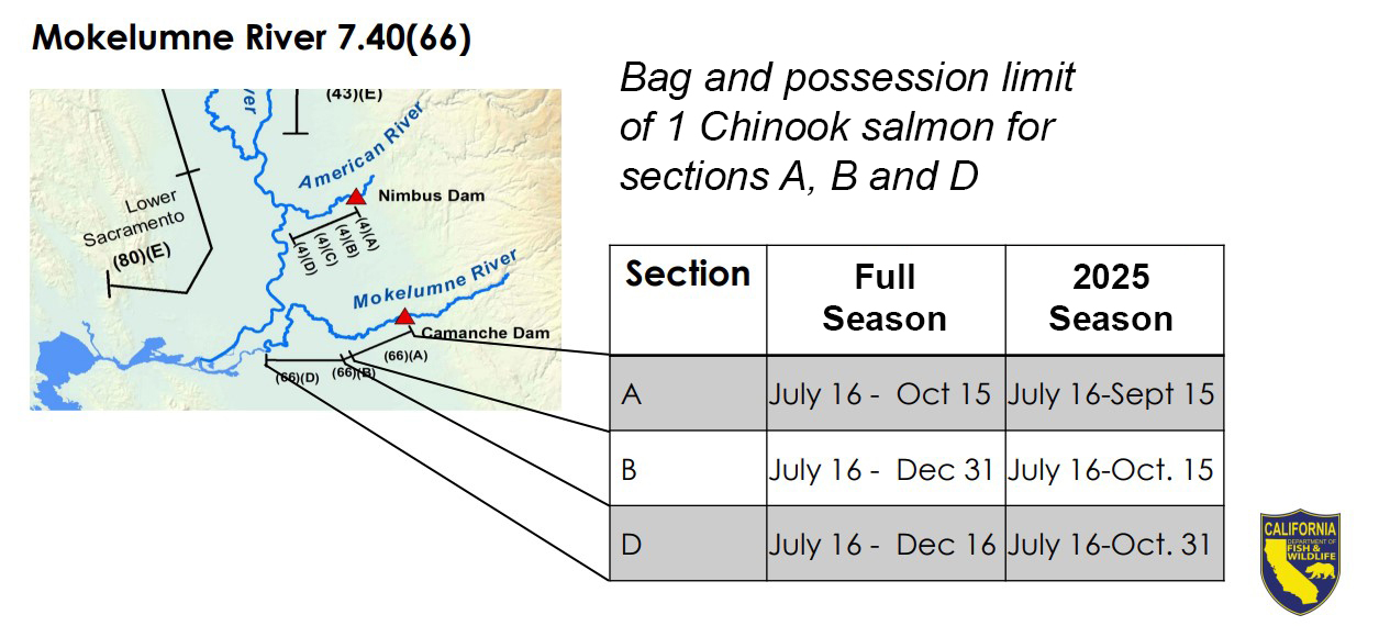 Chinook Chinook fishing regulations graphic for Mokelumne